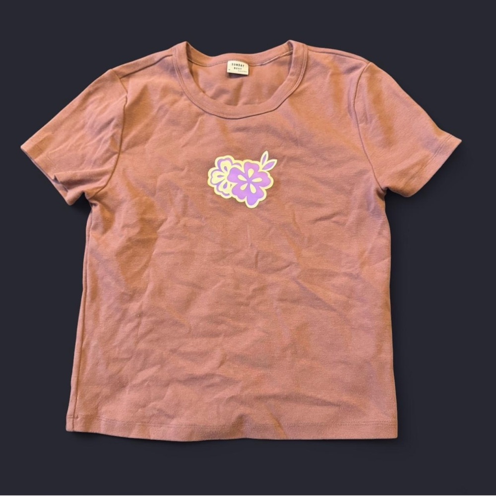 Aritzia sunday best t-shirt